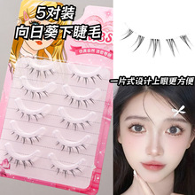 5�����տ��½�ë��һƬʽ��������޽����֝�����Ů���R��Ȼ����