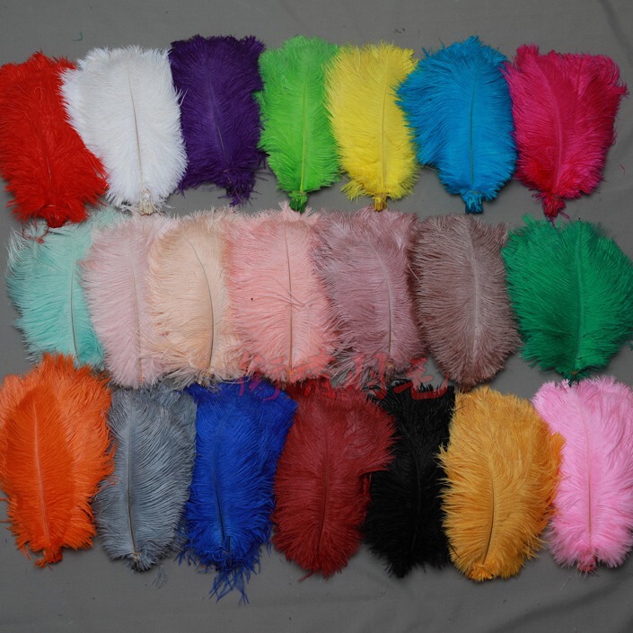 25-30cm Ostrich Feather Popular Photo Colorful Ostrich Feather Wedding Decoration Real Feather Material Background Wall