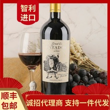 智利原裝原瓶進口紅酒特藏限量級赤霞珠干紅葡萄酒高檔送禮批發