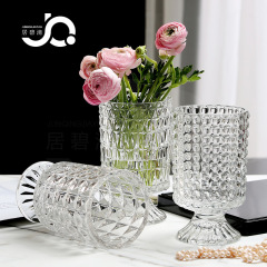 Trendy, minimalist relief design—elegant European-style transparent glass vase with a tall stem for flower arrangements, perfect for water-based or hydroponic displays on desks or bedside tables.