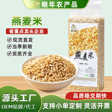 东北燕麦米新米真空包装杂粮麦仁粒全胚芽健康主食农家自种燕麦仁