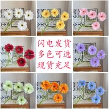 ���ʾշ��滨�S�����l�[�O�͏d�b������[�O��@�L�zӰ���߼ٻ�