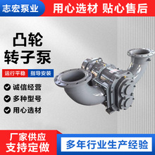 不锈钢凸轮转子泵卸油泵化工胶水高粘度浓浆输送泵耐腐蚀齿轮泵