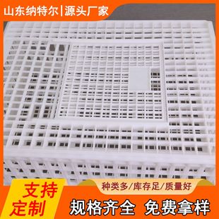pp�u�\�������D�� �b�u���u�����Bֳ�\ ���ڴ������Z�����ӻ\