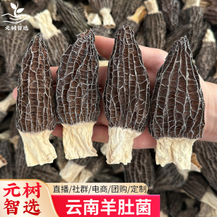 �����Ǿ���؛�������������^�����ʳ�þ�����Ҝ������خa���l