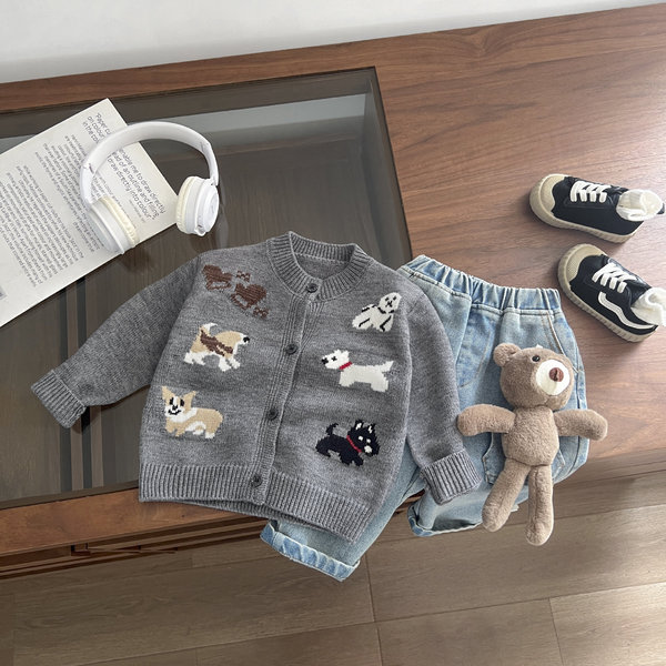 Sweater for boys