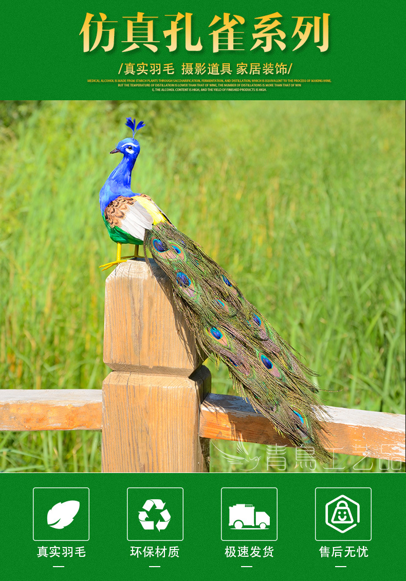 50cm孔雀详情_01.jpg