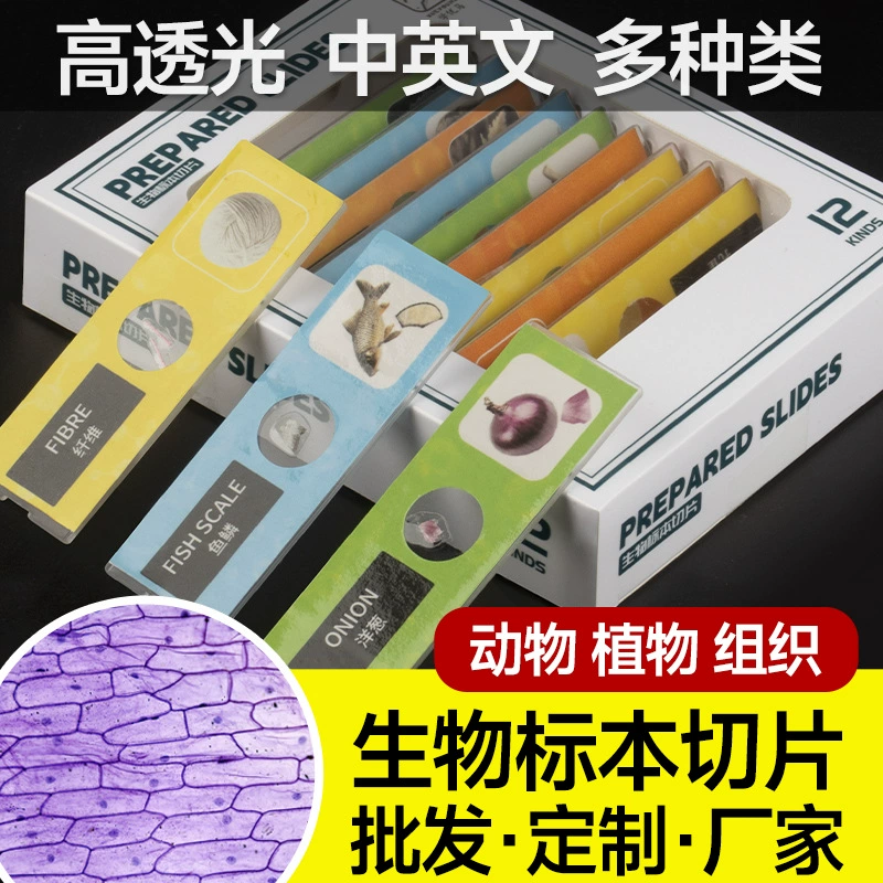 Изучить биологические срезы для микроскопа Yuma красный, желтый, синий и зеленый четыре цвета для детей, самодельные пластиковые срезы 12 штук в штучной упаковке