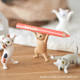[Exclusive for Regular Customers] Enchanting Cat Pen Holder Douyin Same Style Japanese Cute Hand-Raising Dancing Cat Everything Can Be Supported 1