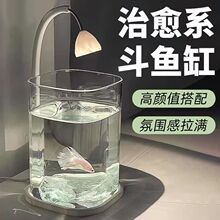 网红玻璃小鱼缸冰晶石桌面创意生态斗鱼缸珍珠碎砖景观缸装饰造景