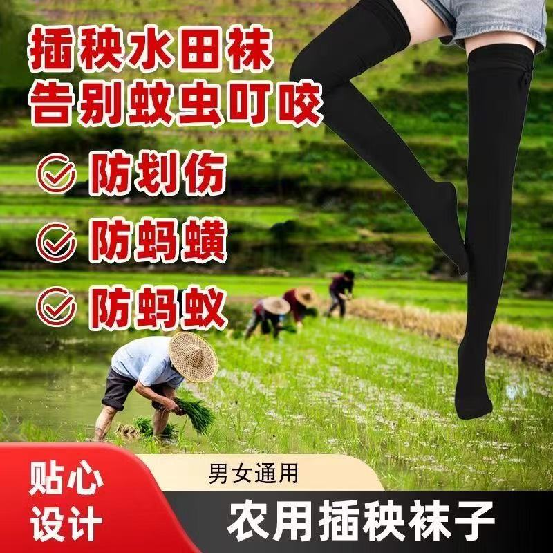 Farmers Xiatian Rice Transplanting Socks Thickened High Barrel Anti-leech Anti-leech Anti-leech Tea Anti-mosquito Bite Good elasticity