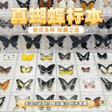 �����˱��[���ֹ����x�˱��b�Ʒ�W���������նY��չ��������˱�