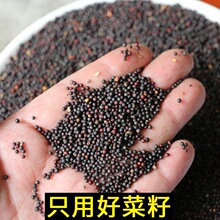 ������ϷN����~�C����Ϲ����߲��ЙC���ϲ˿��Ϳ��ֱ�N