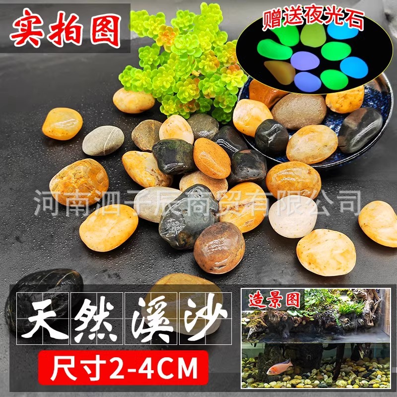5kg 자연스트림 돌 2-4cm 시뮬레이션 수생 식물 2 개를 보내
