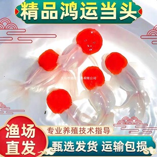 ���\���^���~���~��ˮ�~�^�p�~�~�������tñ�����~��픇��⵭ˮ