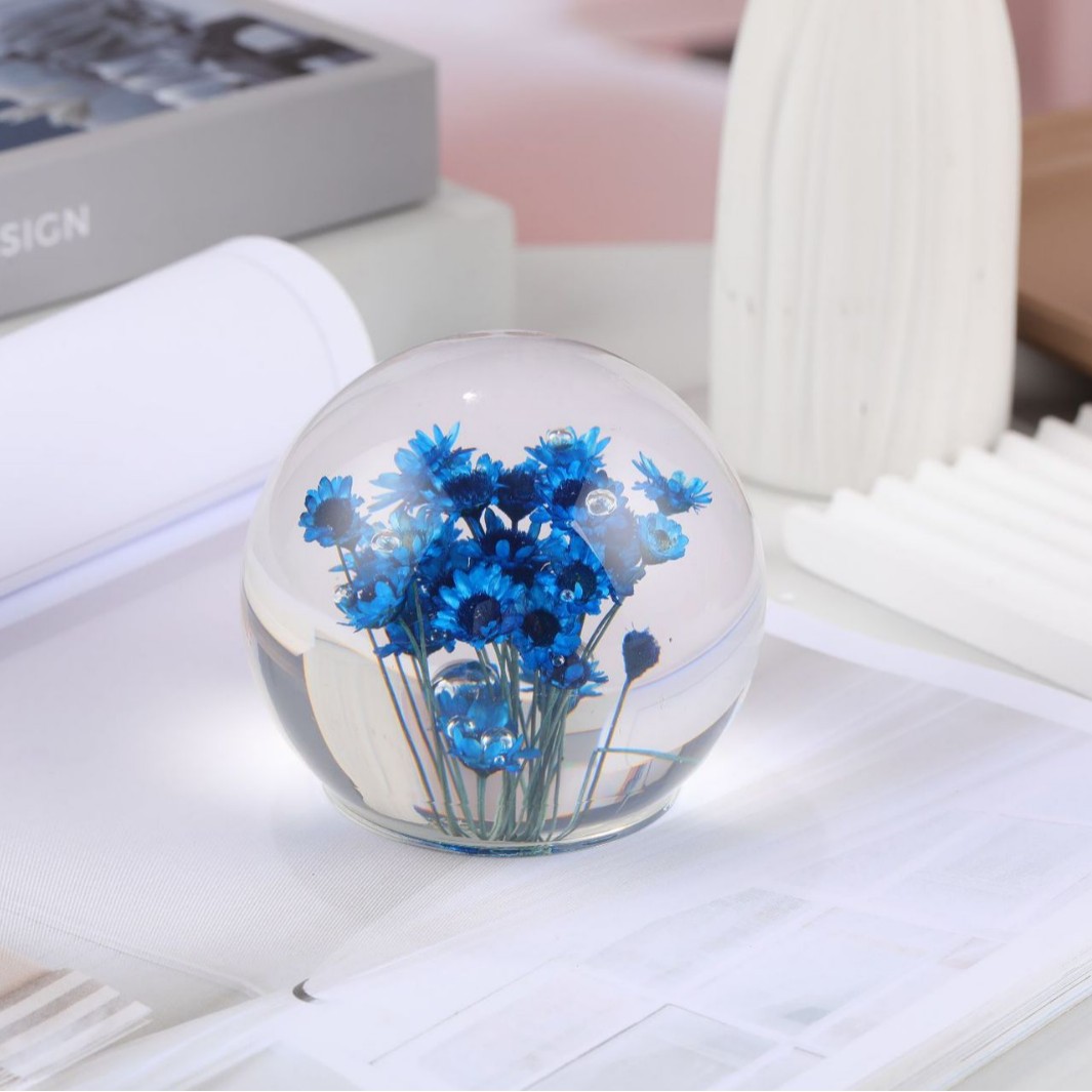 알로혼타 바이올렛【브라질 데이지】