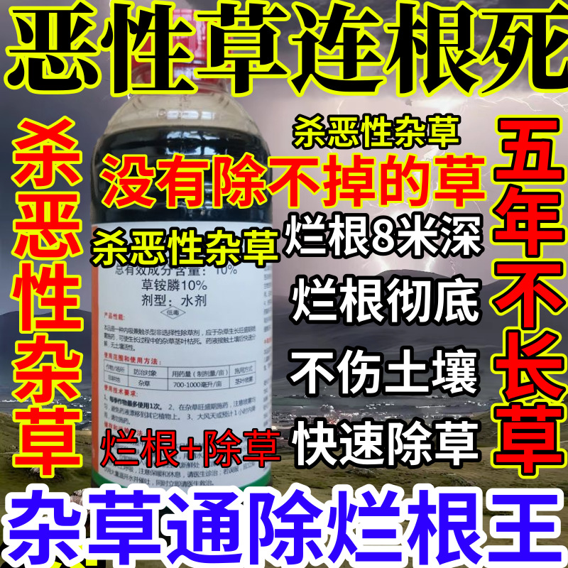 恶性草连根死精草铵膦铵盐果园烂根小飞蓬耕地强效除草剂烂根王