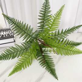 仿真绿植蕨类植物手感波斯植物盆栽背景墙插花爬宠装饰北欧造景