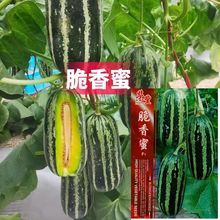 �����۱�Ƥ�s����ϷN�Ӻ����S�Gɫ�ۼtǻ�����ִ�����֥���۷N��