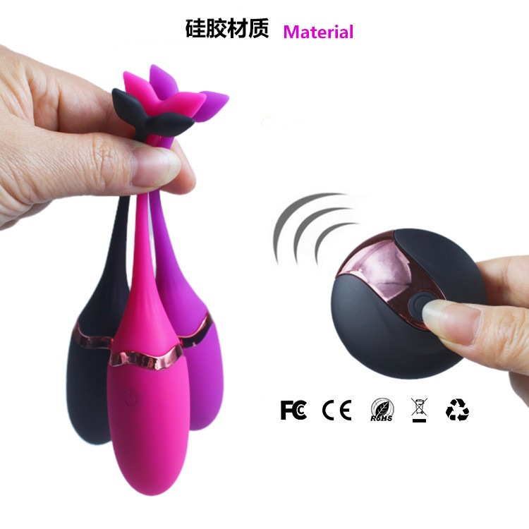 Trứng Rung Cá Heo Có Remote
