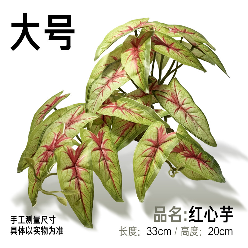 큰 붉은 하트 타로