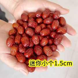 代发河北沧州金丝小枣5斤红枣批发火锅干枣子新疆批货20斤大枣