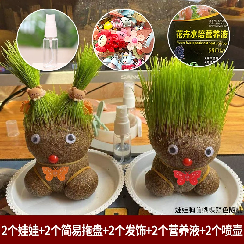 [批发草头娃娃浇水头上长草人绿植长头发儿童好养种草幼儿园桌面小]