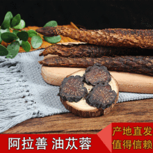 肉苁蓉整根内蒙古阿拉善油苁蓉秋冬货大漠双雄养生滋补跨境外贸