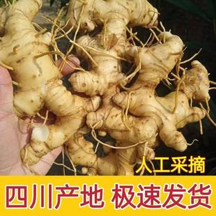 �Ĵ��r�S����ɽ�خa�໨�u�^�����r�ϻ����Ҝ��ݾƴ�K�ϻ����F��