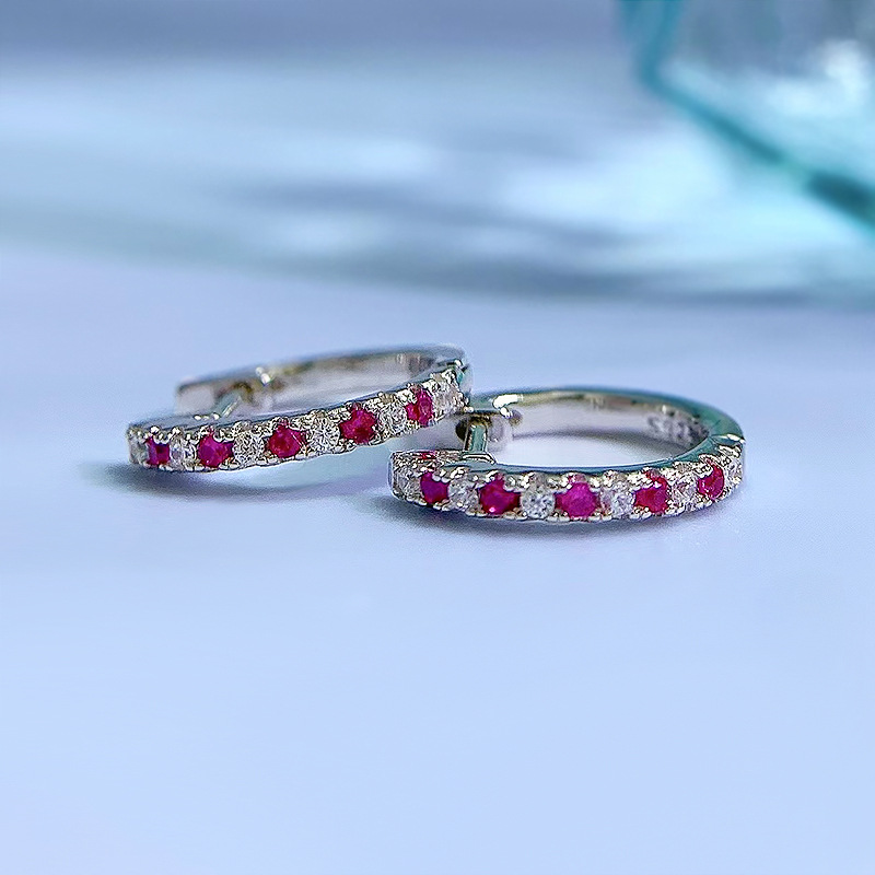 Daily Occasion 1 Pair Lady Multicolor Inlay Sterling Silver Zircon Hoop Earrings