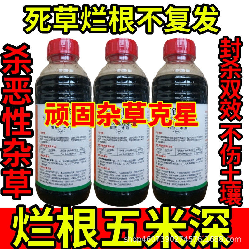 死草烂根不复发精草铵膦铵盐除草草安草铵磷草胺磷除牛筋草小飞蓬