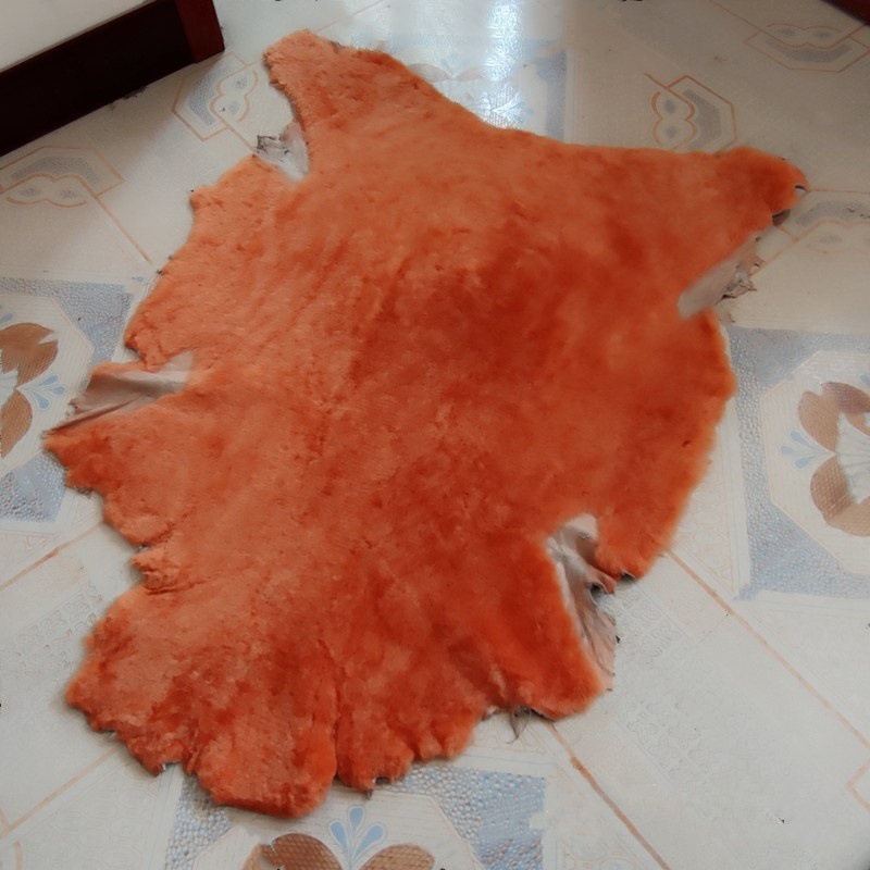 주황색