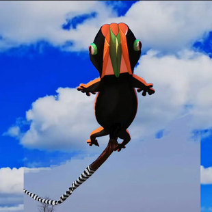 ���AƷ�� 14��ܛ�w�ڻ� ܛ�w�L�~ 3-6���L���w