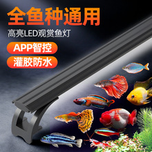 鱼缸灯led防水照明超亮水族箱水草灯变色爆藻定时全光谱纯白专用
