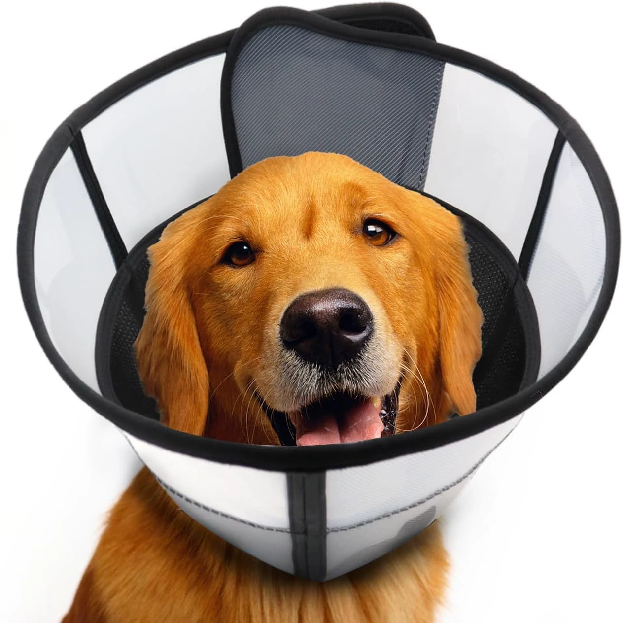 Трансграничный круг Элизабет собаки позор собаки домашние животные большие собаки против лизания и укус ошейник стерилизация dog cone