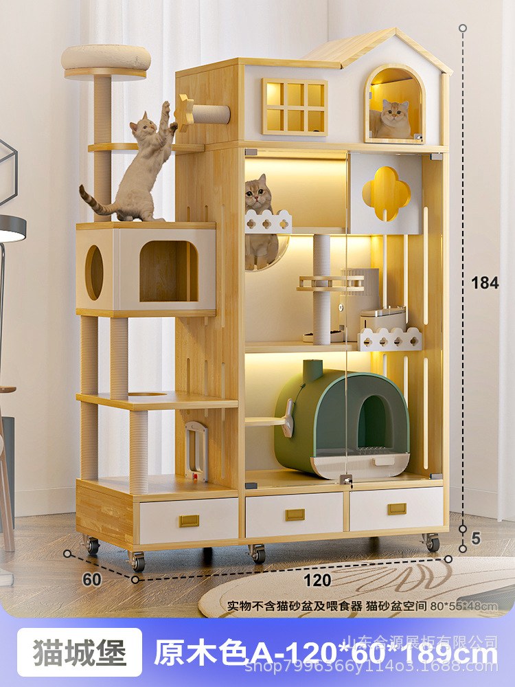 고양이 성 로그 색상-A