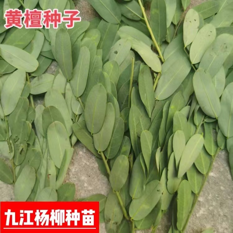 微信图片_20231031160546