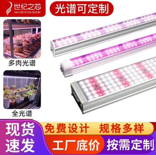 ֲ���a���ȫ���V��ɫ���⻨��led�҃�ֲ�������ɫ��ֲ�����L��