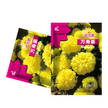 f۾ջܷNSɫ󻨾ջNļ׷N҃Ի@^pN