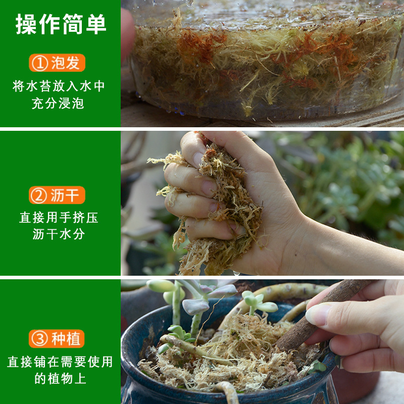 乾いたコケの水のコケの苔の蝶の蘭の多肉の石のgokの栄養の土の育苗は食虫のカメの冬眠のクッションを接ぎ木します。