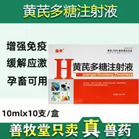 Ветеринарная инъекция полисахарида астрагала для крупного рогатого скота и овец, упаковка из 10 шт., лекарство для домашних собак и кошек, ветеринарная медицина, оптовая продажа инъекций для птицы и кур.