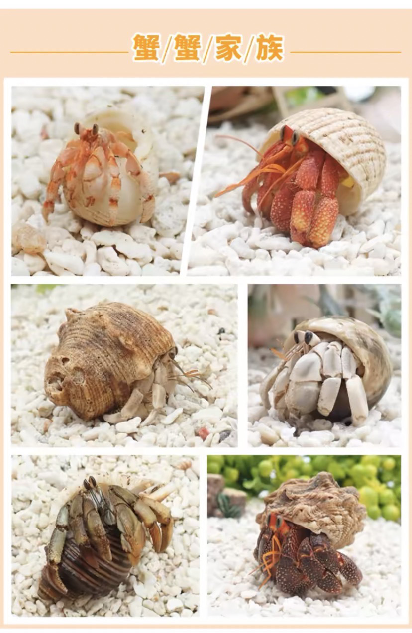 c313ee35-3c89-4435-878f-eba9ad5d292e.jpe