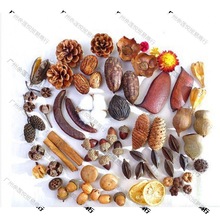 ɻb޻ɹ֦~ɏ׃@ֹhϰ