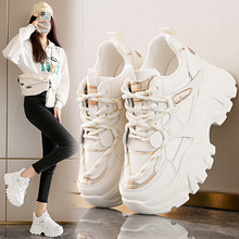 �����ߺ���\��ЬŮ2025���¿�ļ�͸��ŮЬ�r��ܛ�׷����ϵ�Ь