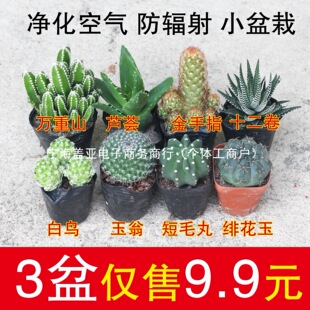 ����ֲ��������С��������ָ�����k������[���҃������ƽM������