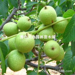 ��Ƥ���Ҙ���籱��������䱡Ƥ���Ҙ������޽Ӽt�ʺ��Ҙ���