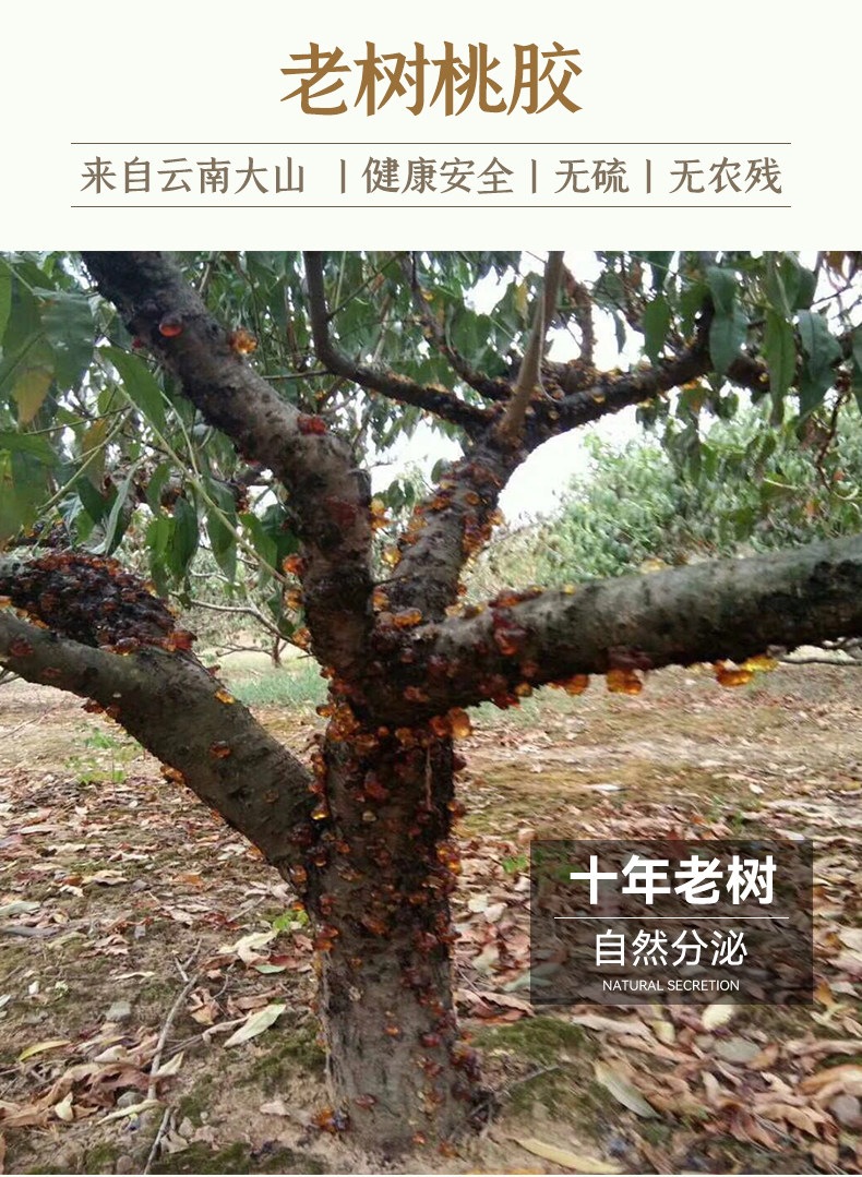 Peach Gum Tao Jiao 桃胶 Dried Resin with White Fungus Soup Pack 500g for Sweet Dessert Soup key features