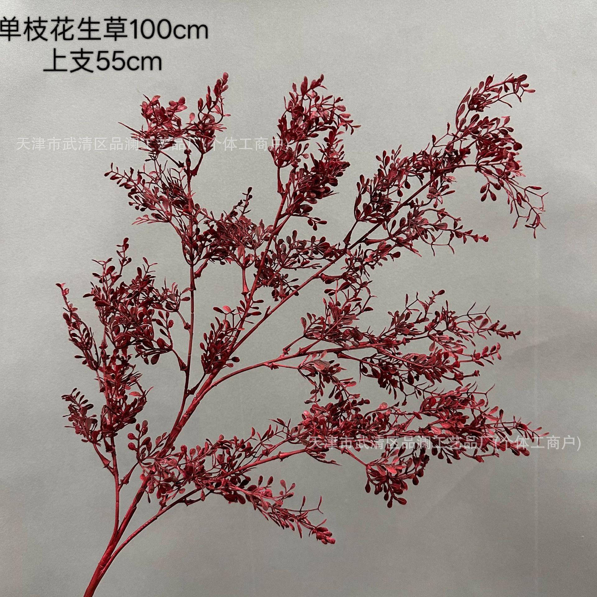 땅콩풀