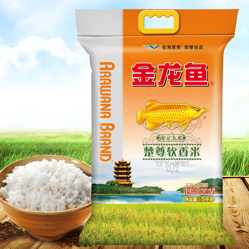 金龍魚米5kg東北米うるち米インディカ米真珠家庭用大包装10斤入米|undefined