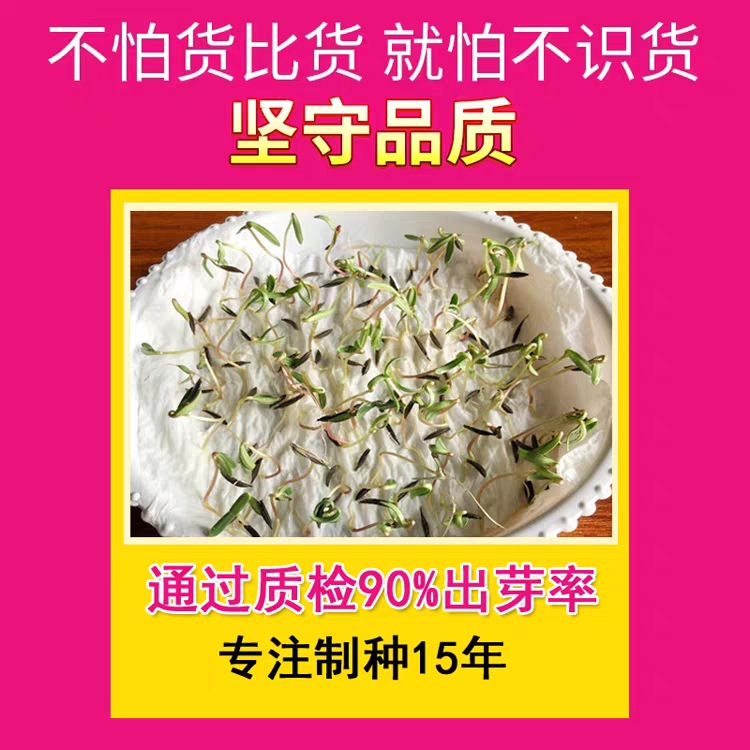 O1CN01cOSsQY1ZM21FxSabx_!!2206